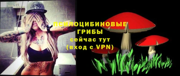 гидропоника Балабаново