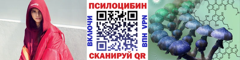 mega как зайти  Поворино  Псилоцибиновые грибы прущие грибы  продажа наркотиков 
